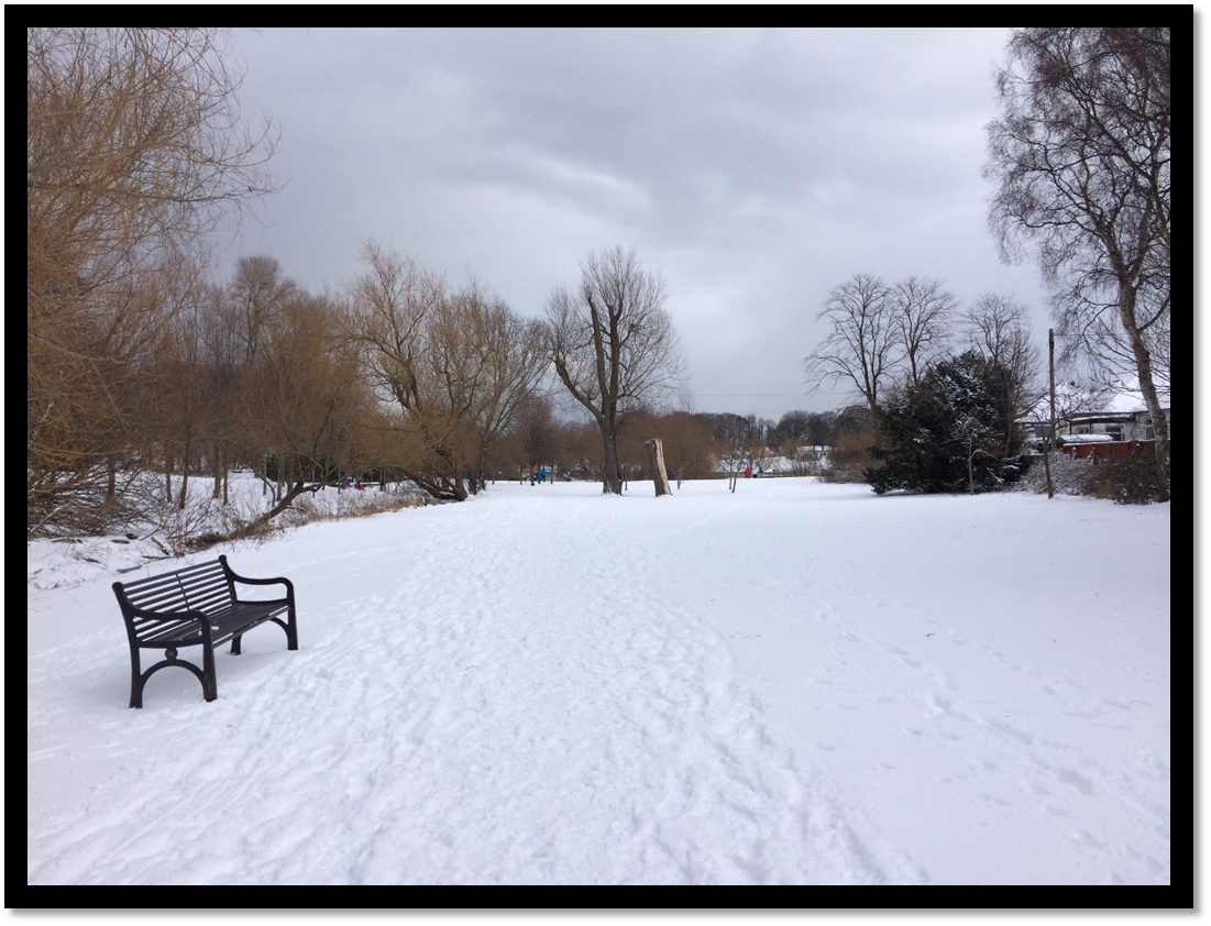 Blog – Learning to make the most of winter